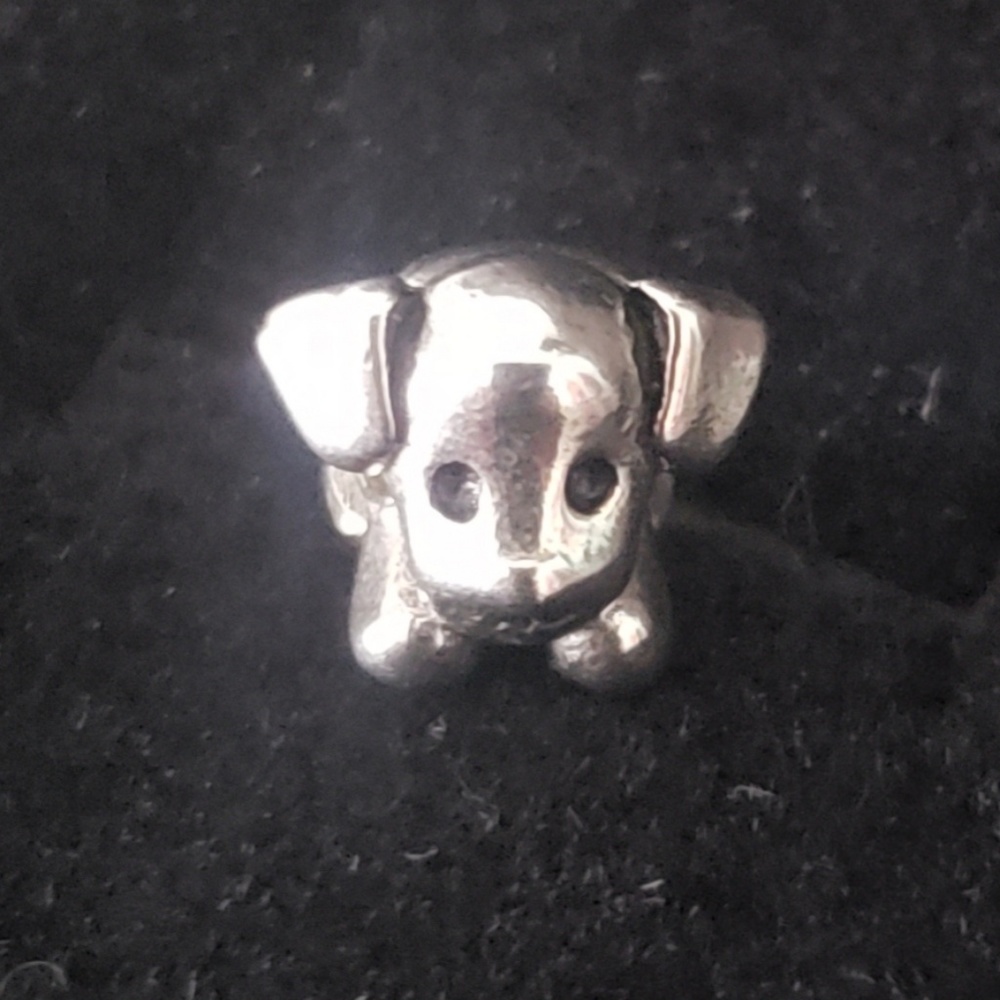 Chamilia Silver Charm